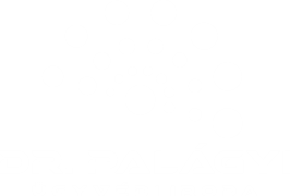 drpalagyi_logo_white_web